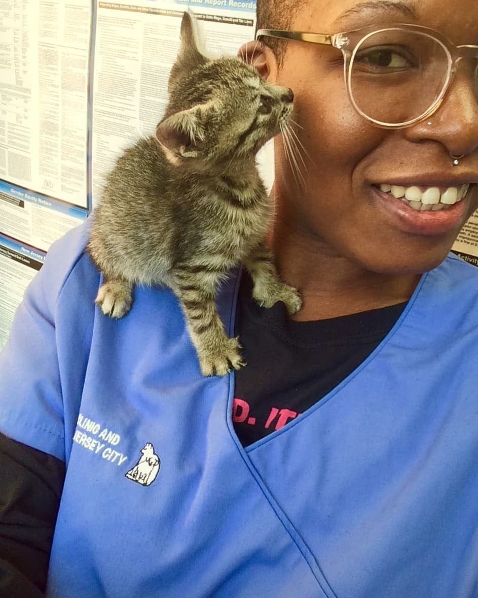 Find Pet Care Information and Veterinarians in Jerseycity, Newjersey